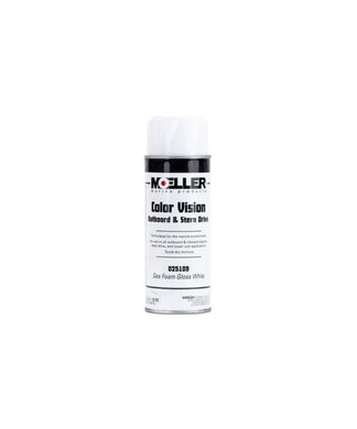 Color Vision Paint Color: Sea Foam Gloss White