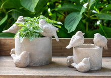 Load image into Gallery viewer, Park Hill Collection ECL20506 Garden Bird Planter, Small
